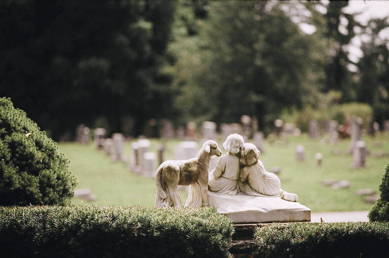 What is ISO Photography? • “Maplewood Cemetery” Image Shot on Praktica BX20 Kodak ISO 400 by y1lee, via Lomography